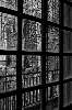 Caged In