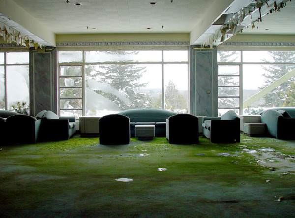 Lobby Windows
