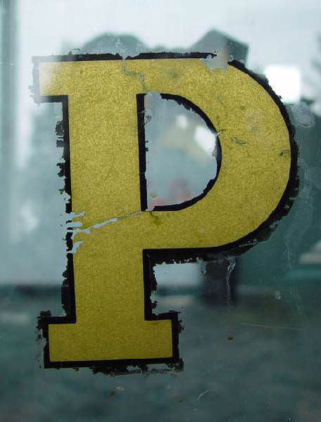 Pines Logo