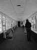 Down Another Hall