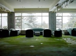 The Pines Hotel