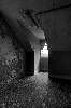 Niche