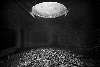 Alien Light