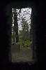 Wooded View