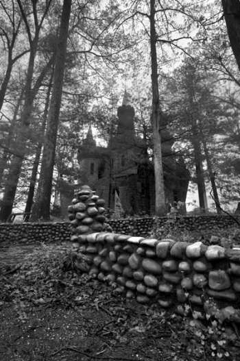 The Enchanted Forest