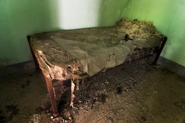 Rotted Bed