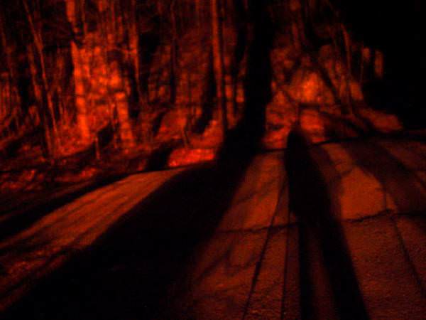 Shadows