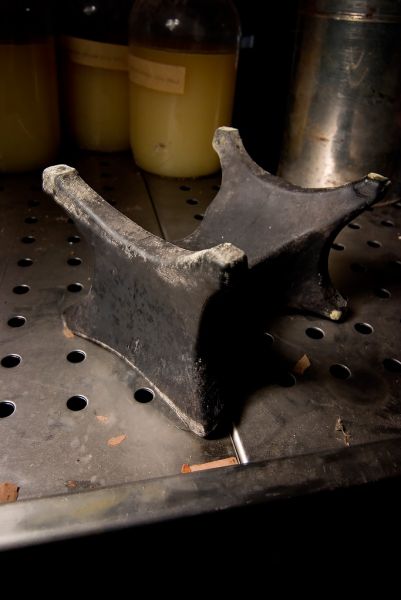 Body Block