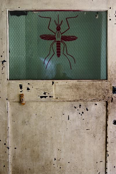 Insect Door