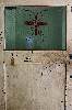 Insect Door