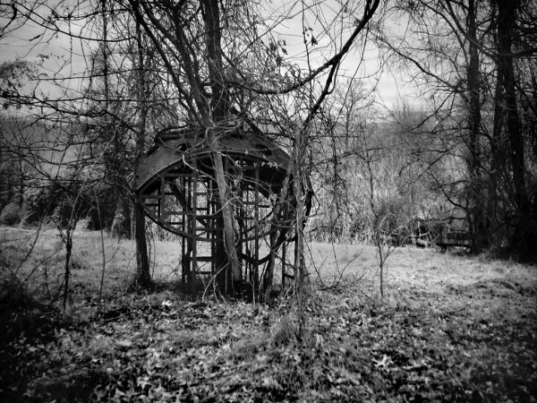 Jungle Gym