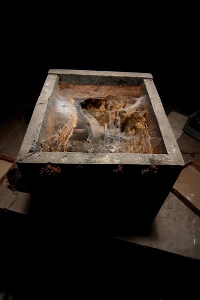 Pandoras Box