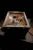 Pandoras Box