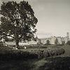 Worcester State Hospital Historical Image