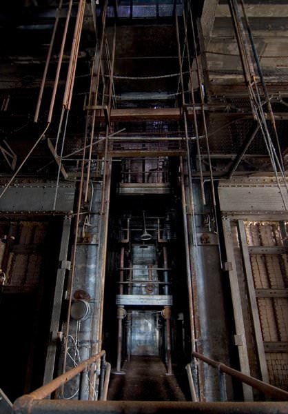 Industrial Jungle