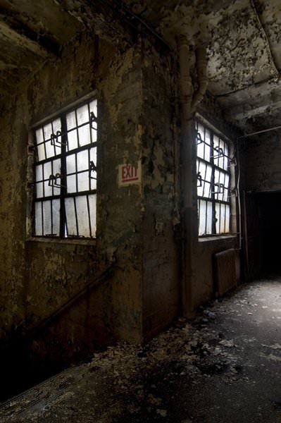 Siamese Windows