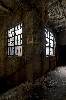 Siamese Windows