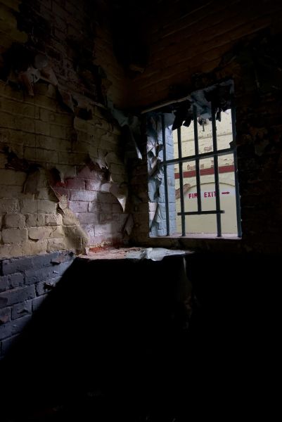 Cell Window