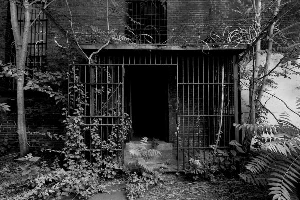The Yard
