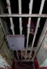 Cell Door