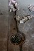 Drain