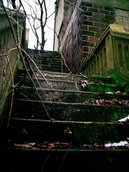 Mossy Steps