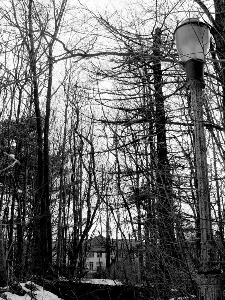 Forgotten Street