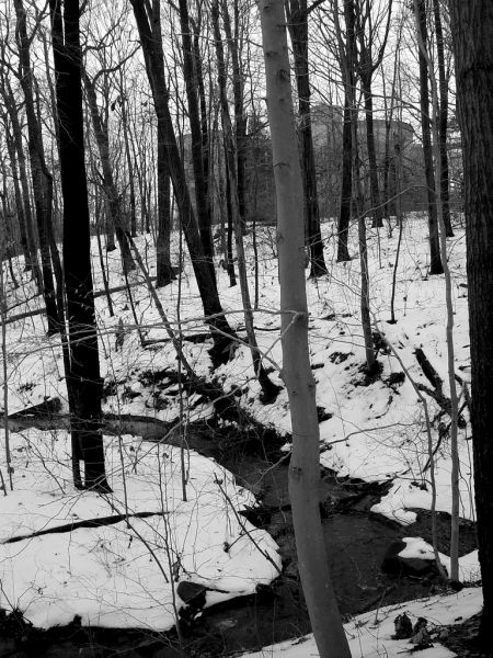 Stream