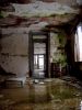 Third Floor Puddles