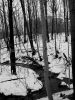 Stream