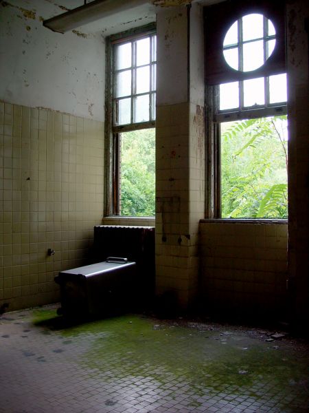 Windows and Mossy Floors
