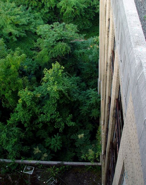 Looking Down