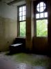 Windows and Mossy Floors
