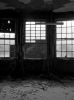 Solarium WIndows