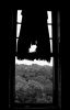 Curtain