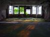 Solarium Tree