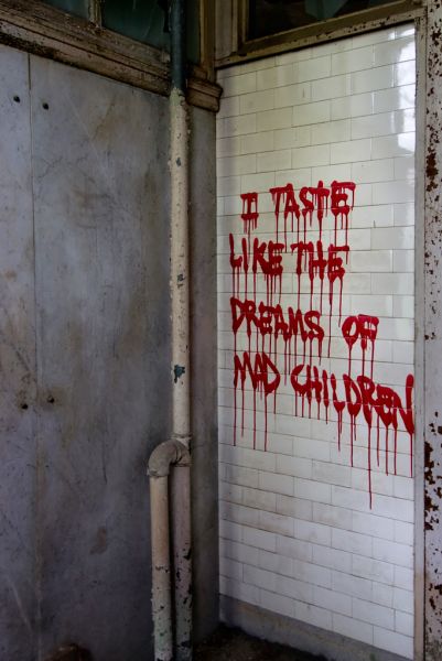I Taste Like the Dreams of Mad Children
