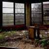 Gray Solarium