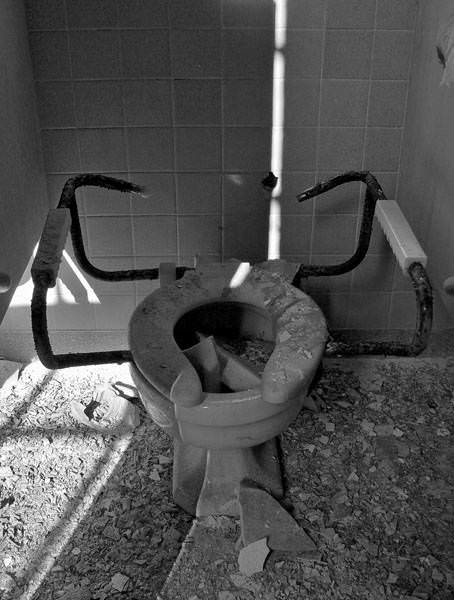 Toilet Seat