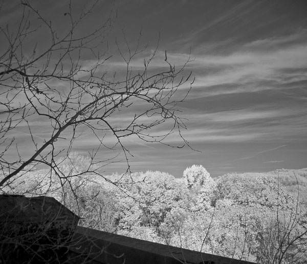 Roof View