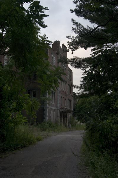 The Drive Up