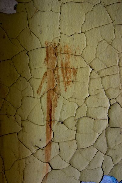 Stain