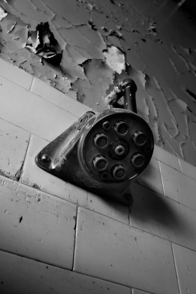Shower Head