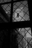 Tower
