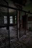 Day Room Cage