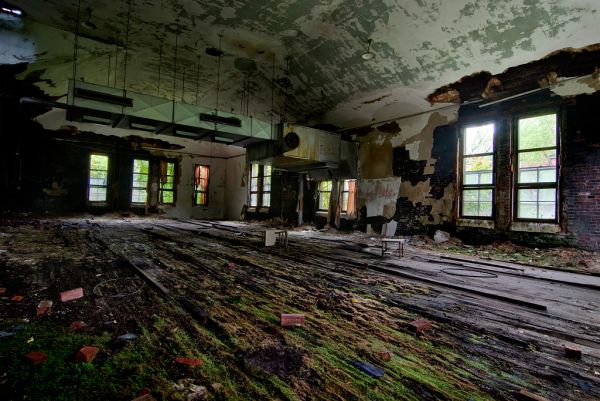 Moss Boards