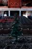 Decorated
