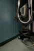 X-ray Creature
