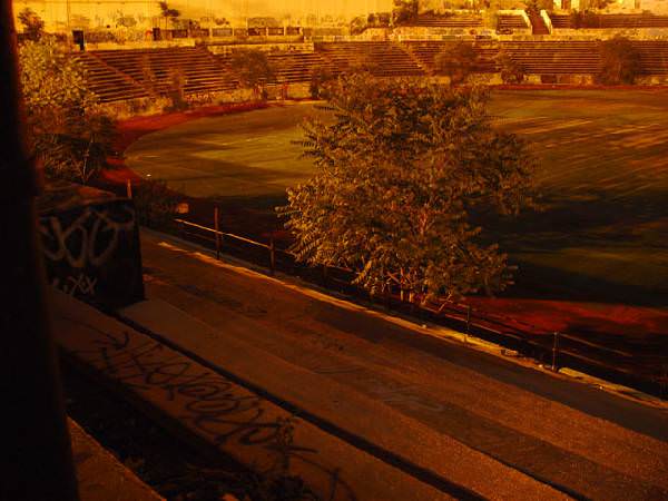 Bleachers