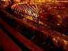 Reflecting Bleachers